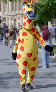 Person in horse costume